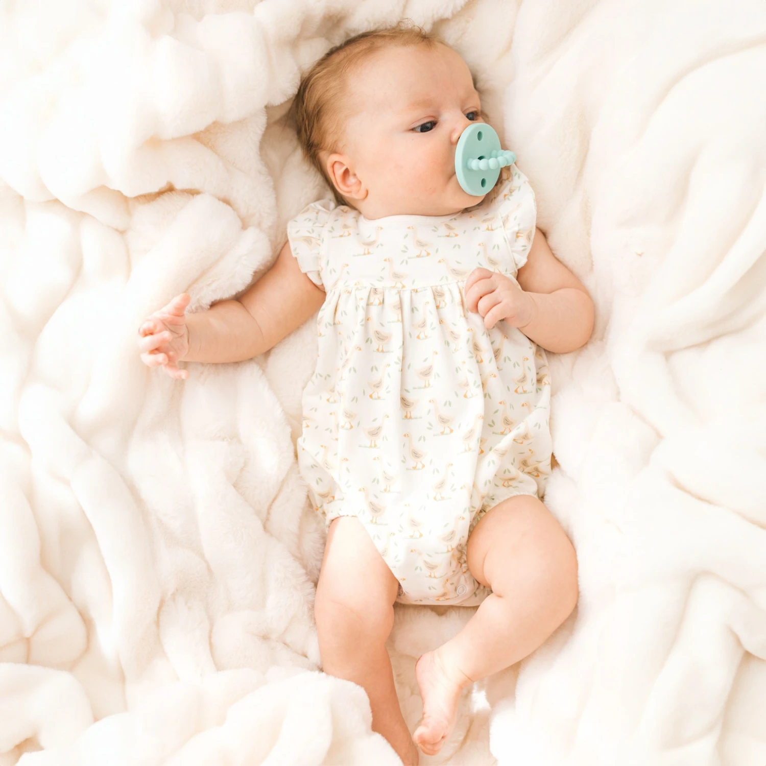 Goose Tales Bubble 1 Goose Tales Bubble