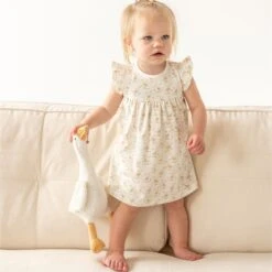 Goose Tales Dress